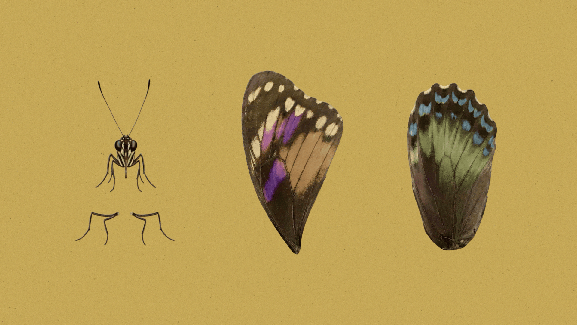 Assembly required: why the new standard is multi-dimensional.