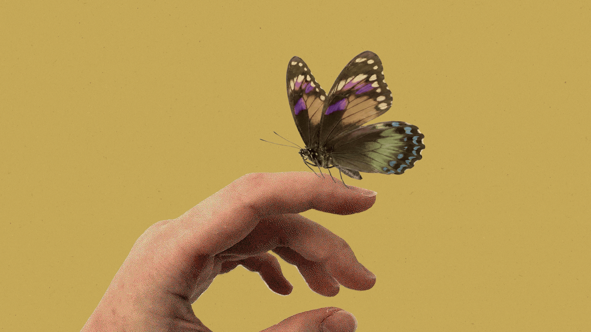 Technology builds the wings; humanity decides where they land.