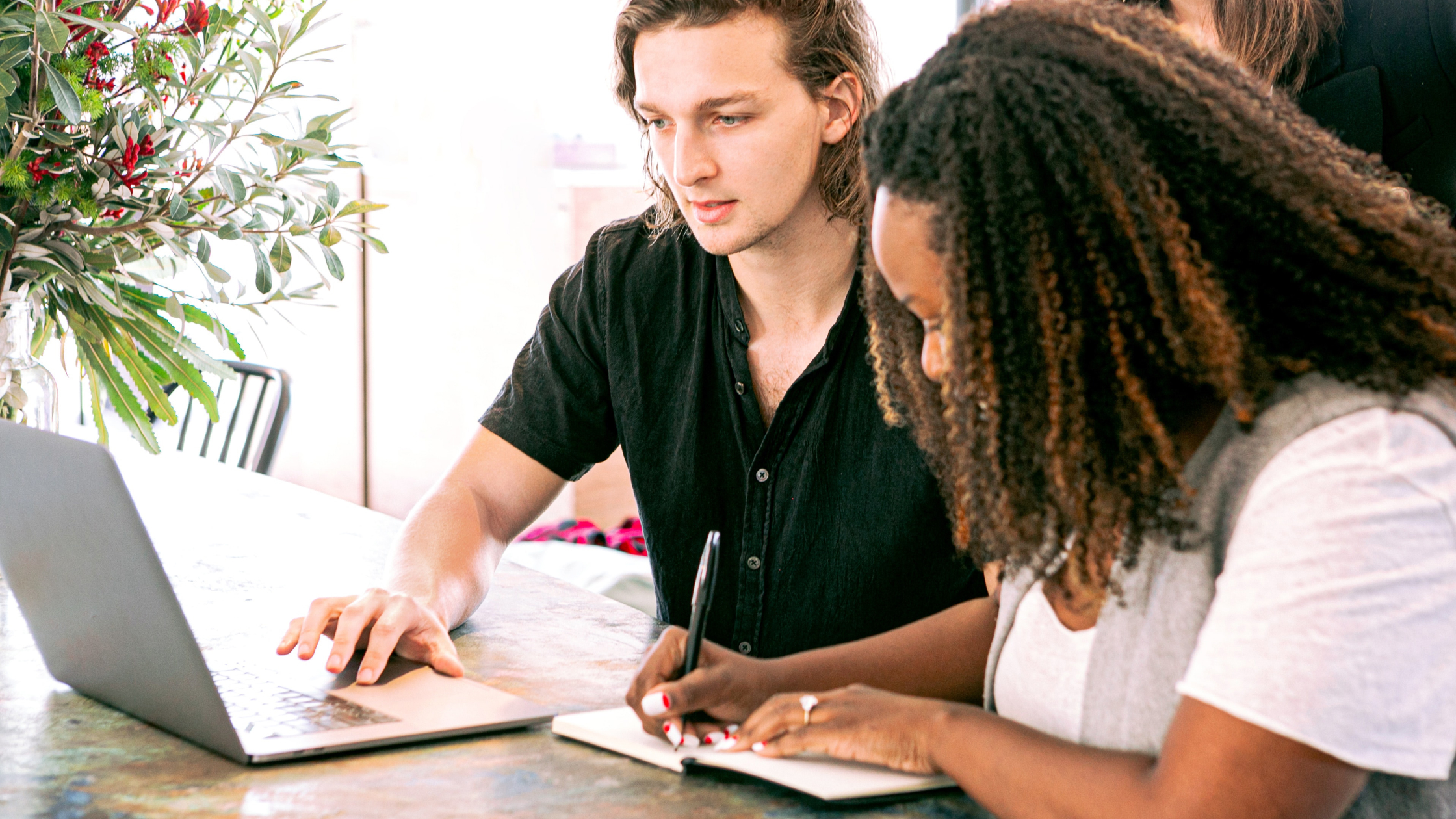 Two people collaborating at a table with laptop and notebook, green plant with red berries in background.